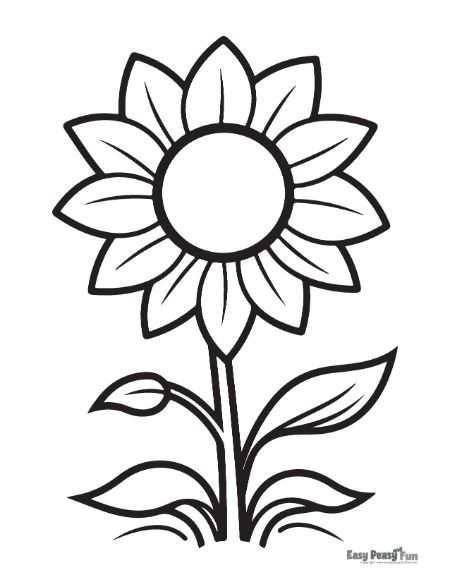 printable sunflower pictures to color