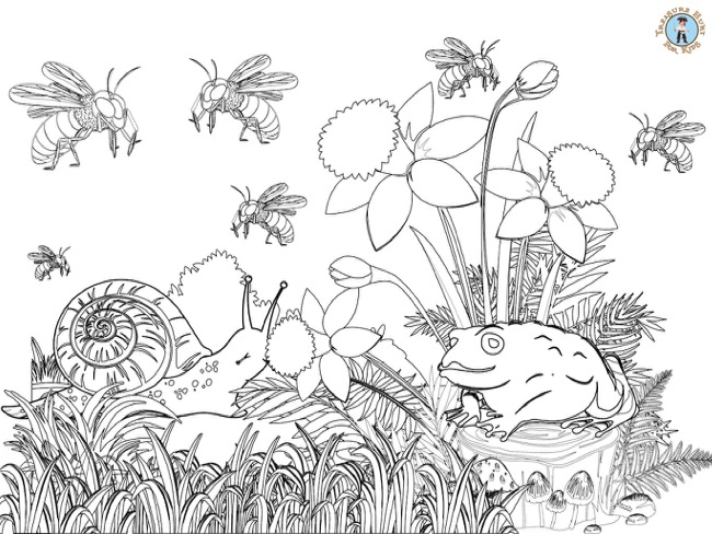 Bugs Coloring Page Treasure Hunt 4 Kids