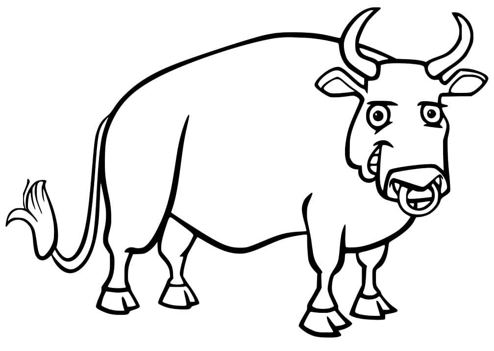 Bull Coloring Pages