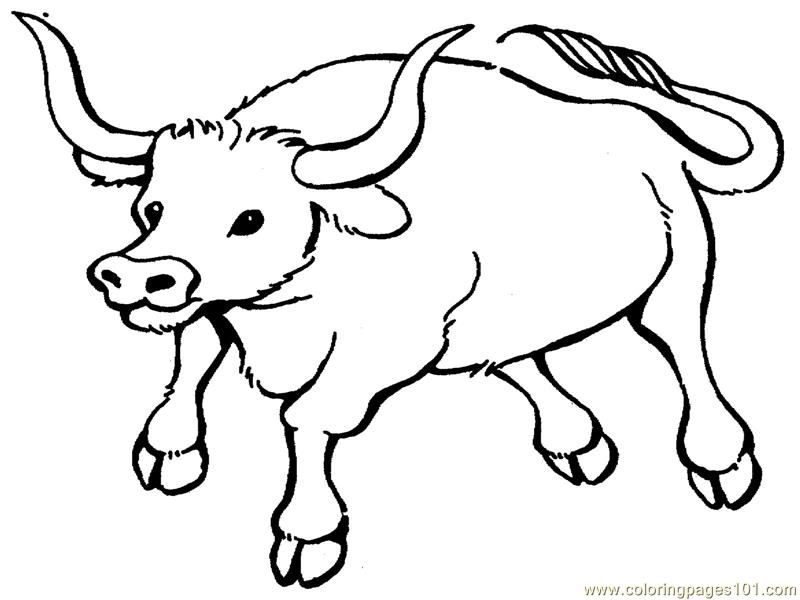 Bull Printable Coloring Pages Coloring Home