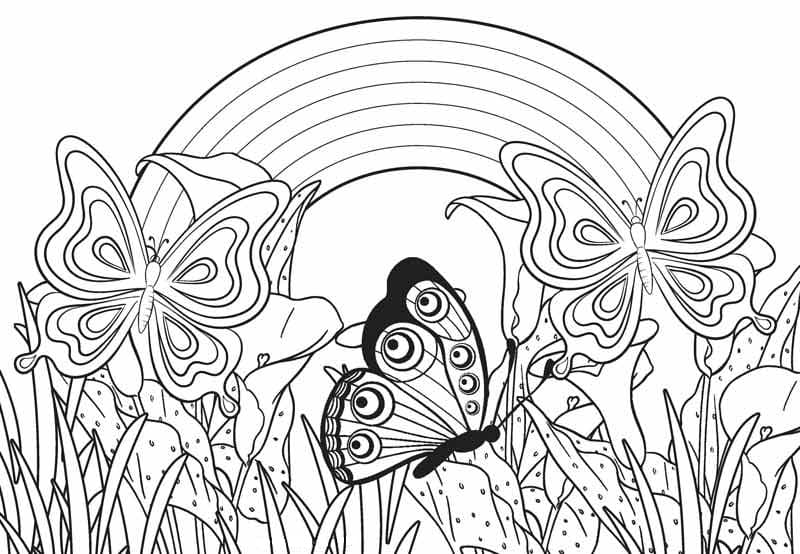 Butterflies With Rainbow Coloring Page Free Printable Coloring Pages 