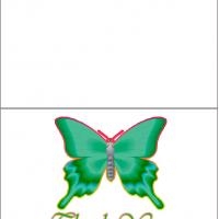 Butterfly Thank You Card