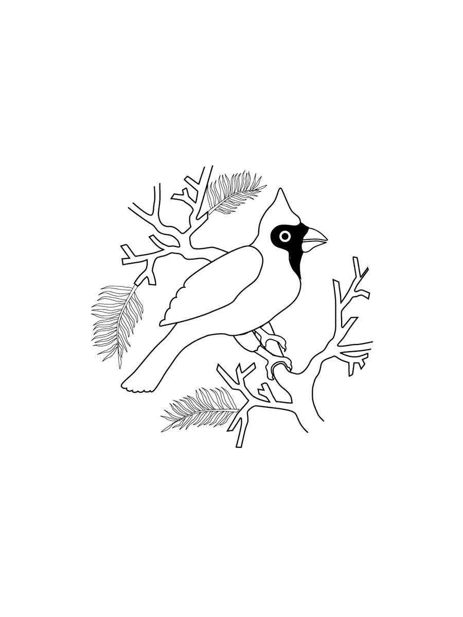 Cardinal Coloring Pages