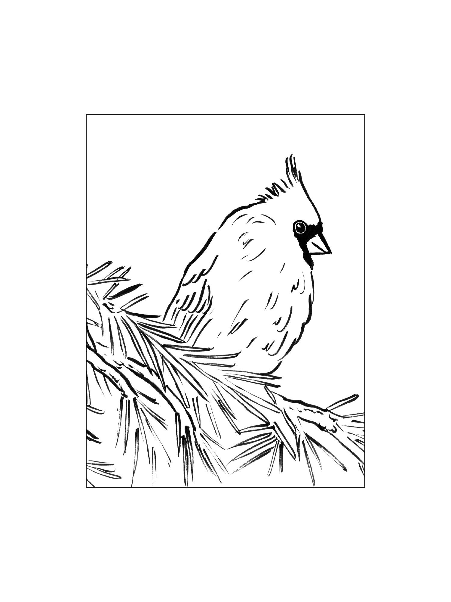 Cardinal Coloring Pages