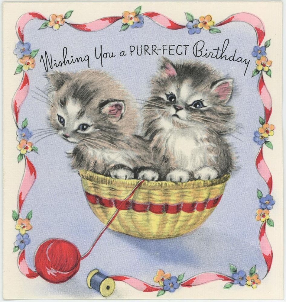 Cat Birthday Card Printable 99birthdaycard