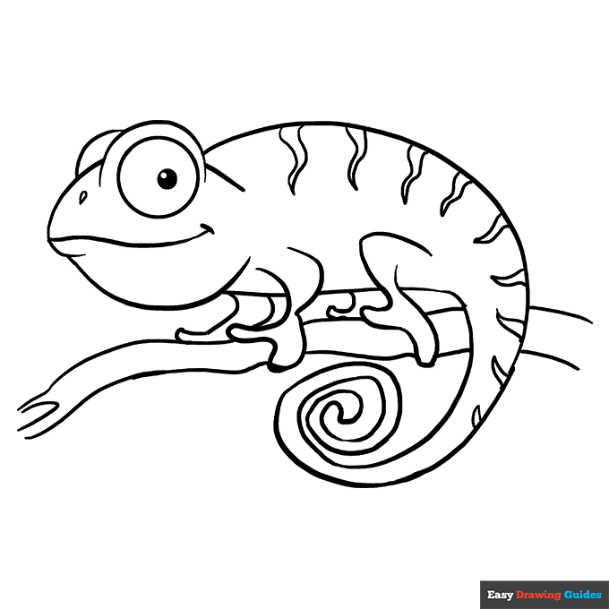 Chameleon Color Pages