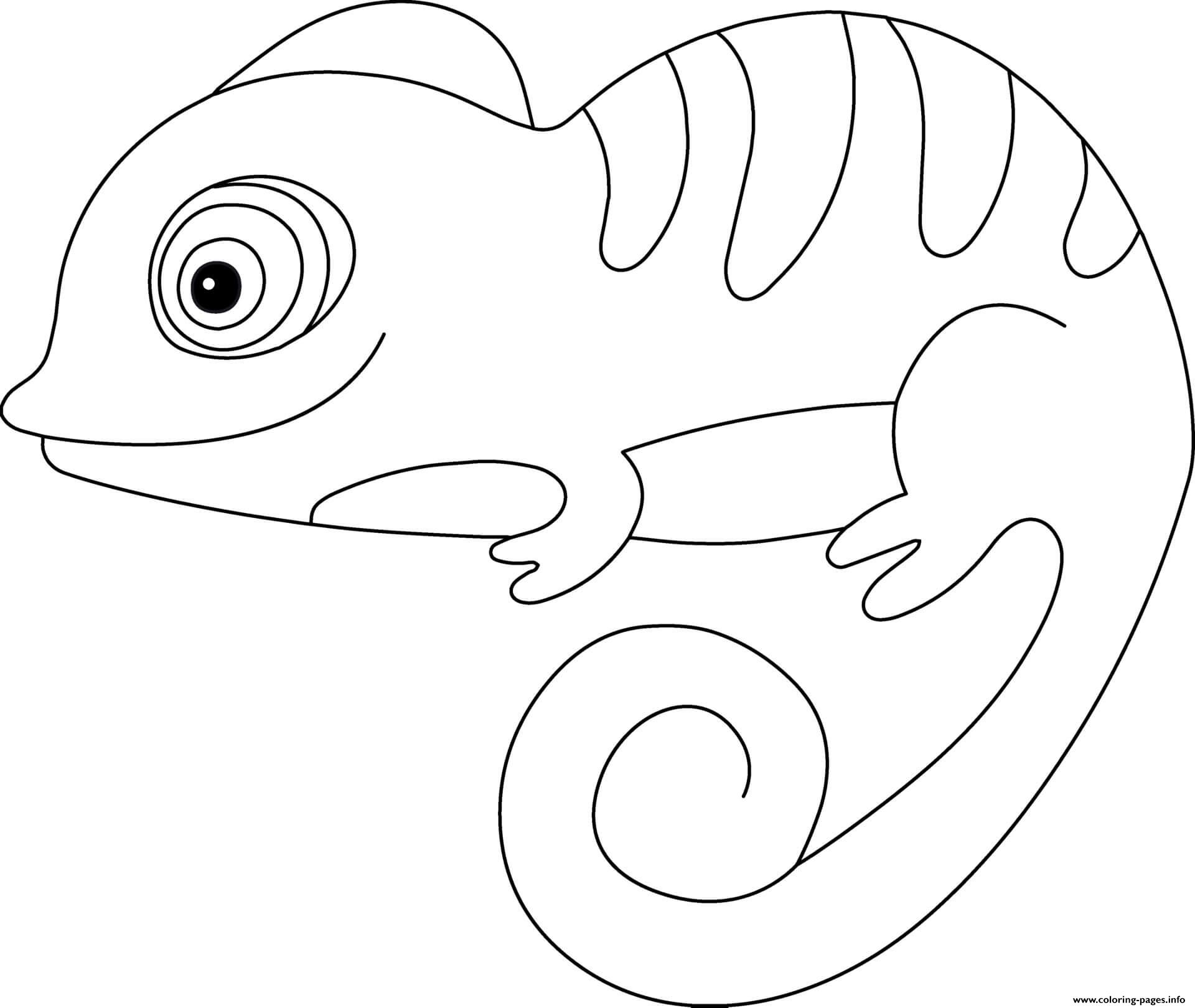 Chameleon Coloring Pages
