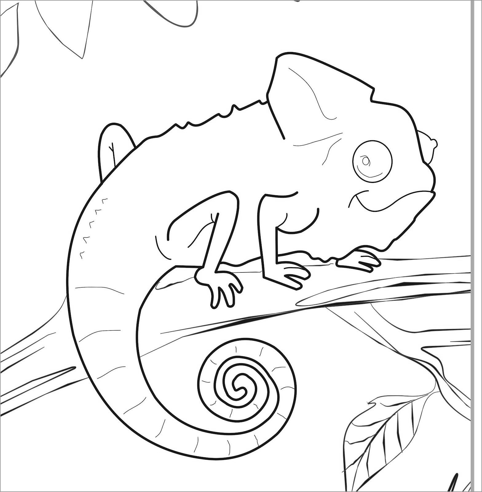Chameleon Coloring Pages ColoringBay