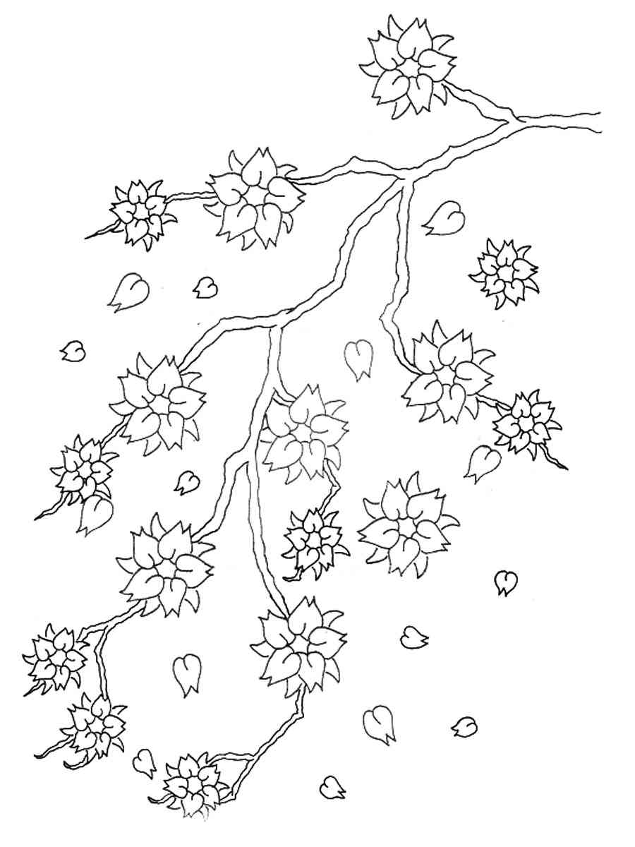 Cherry Blossom Coloring Pages