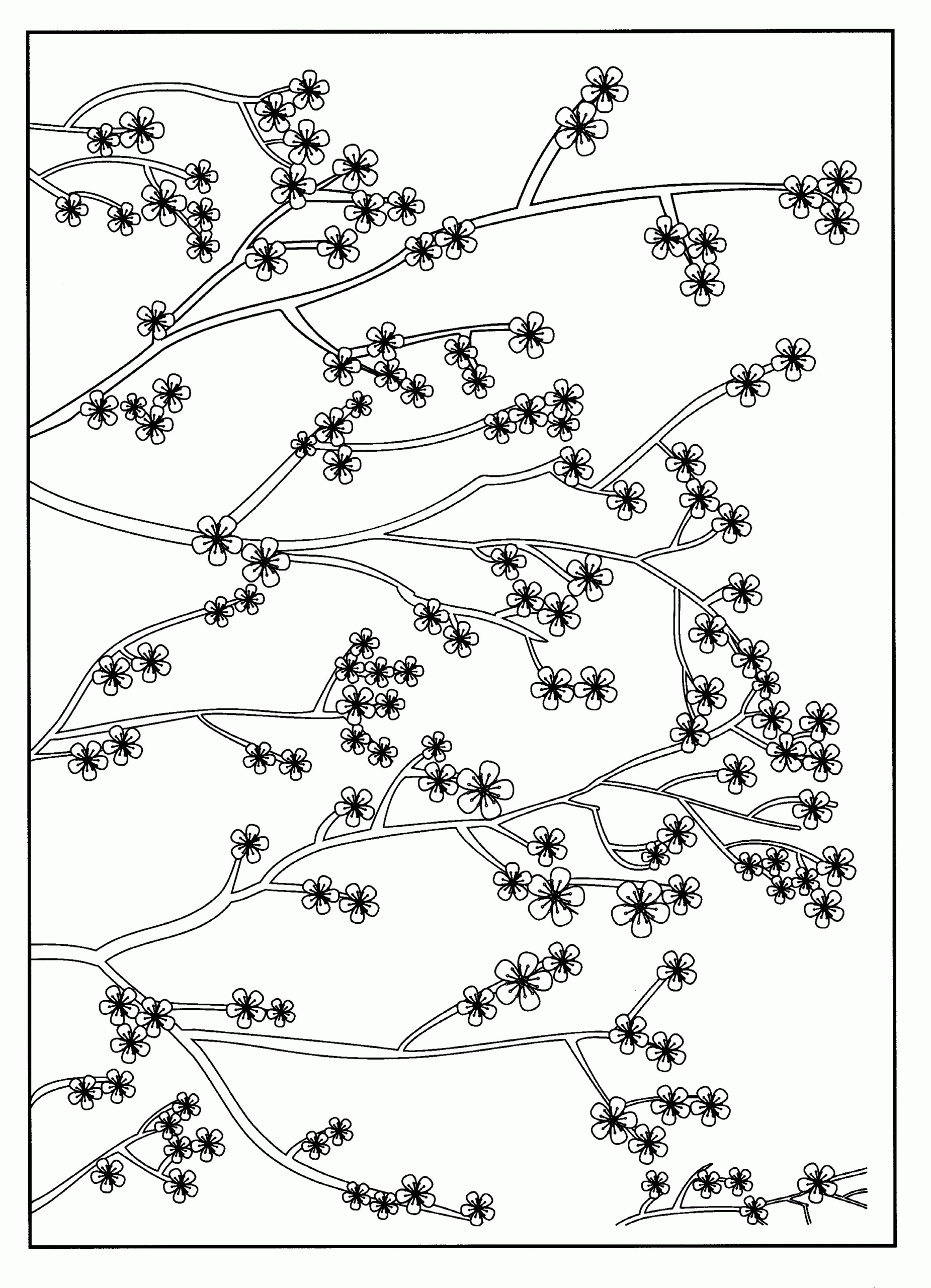 Cherry Coloring Pages Books 100 FREE And Printable 