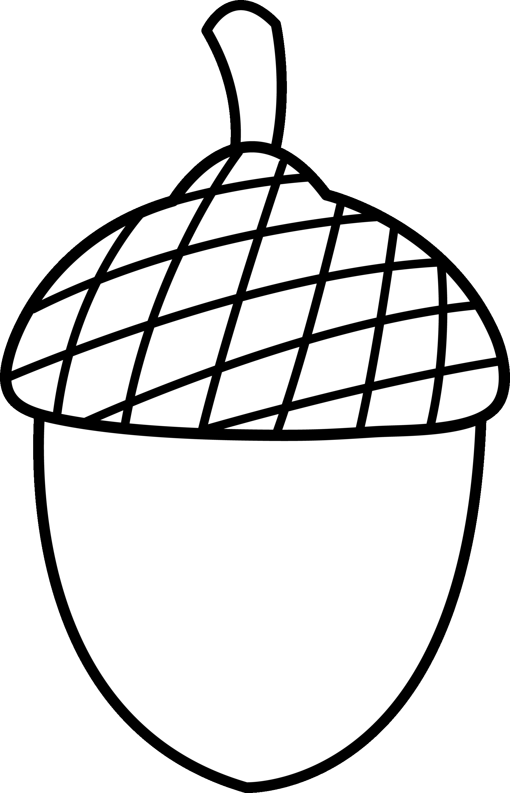 Acorn Coloring Page
