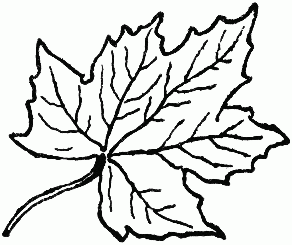 Coloring Pages For Leaves