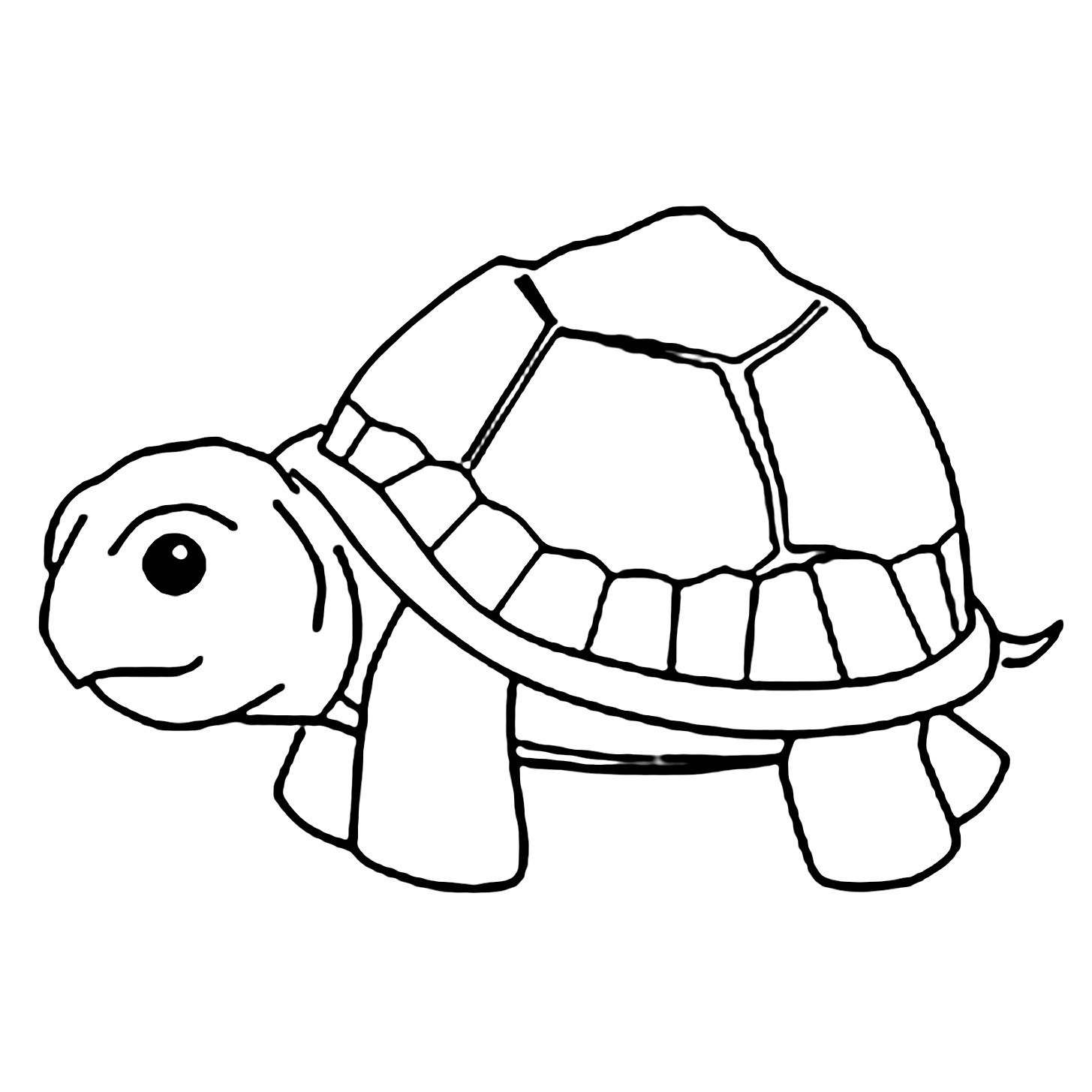 Color By Number Turtle Coloring Pages