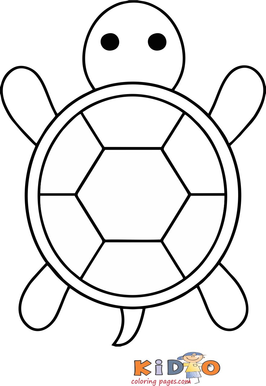 Color By Number Turtle Coloring Pages