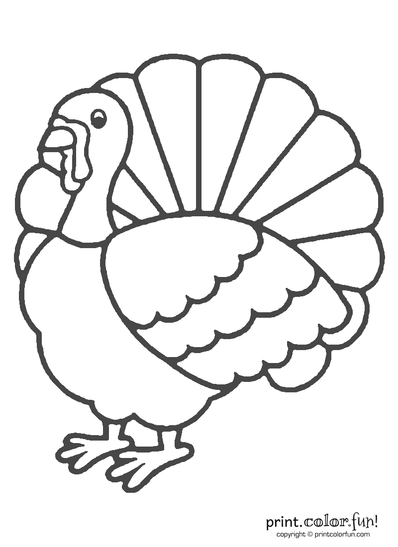 Coloring Page Of A Turkey For Preschool Coloring Home