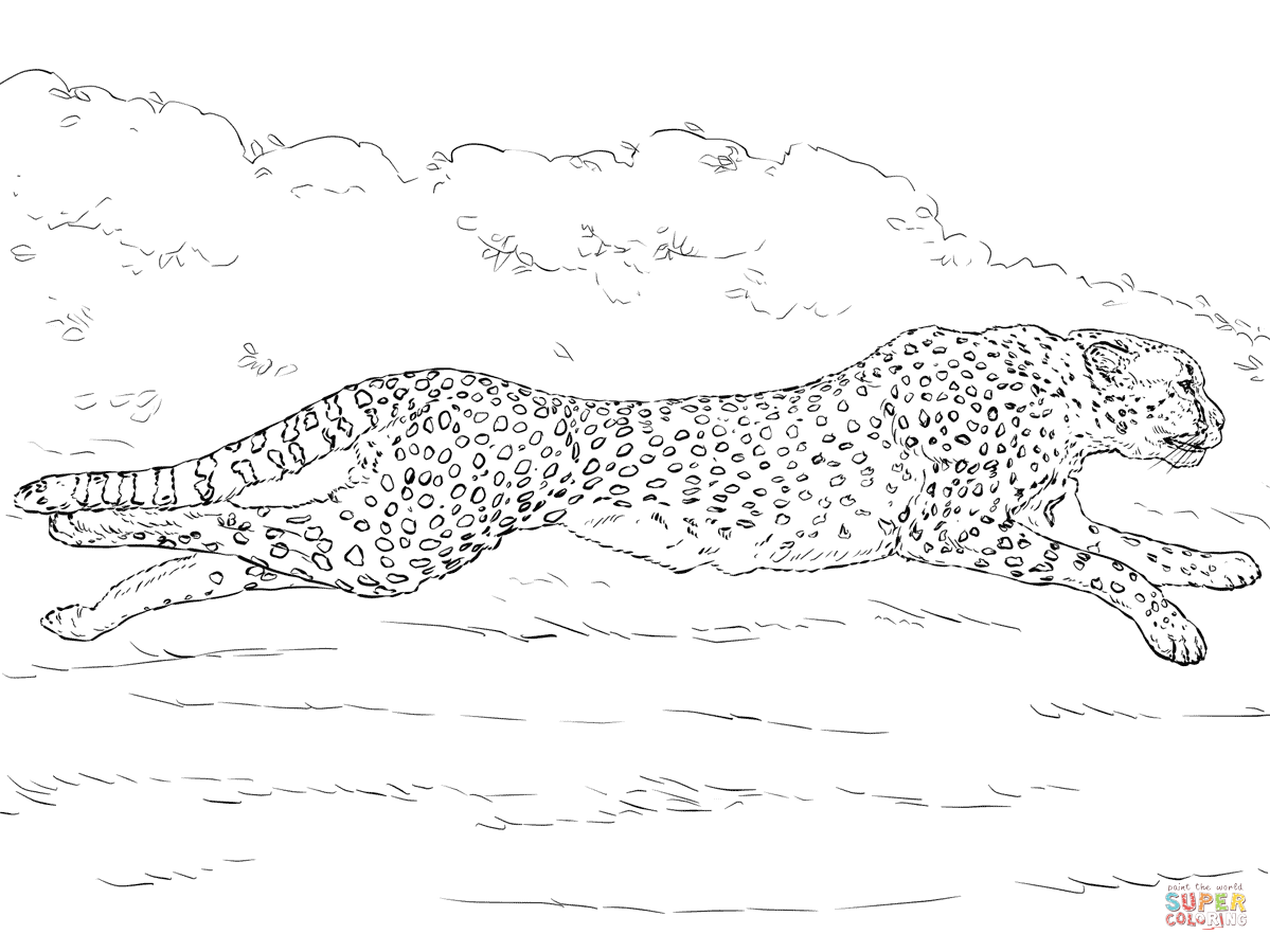 Coloring Pages Cheetah Girls Coloring Home