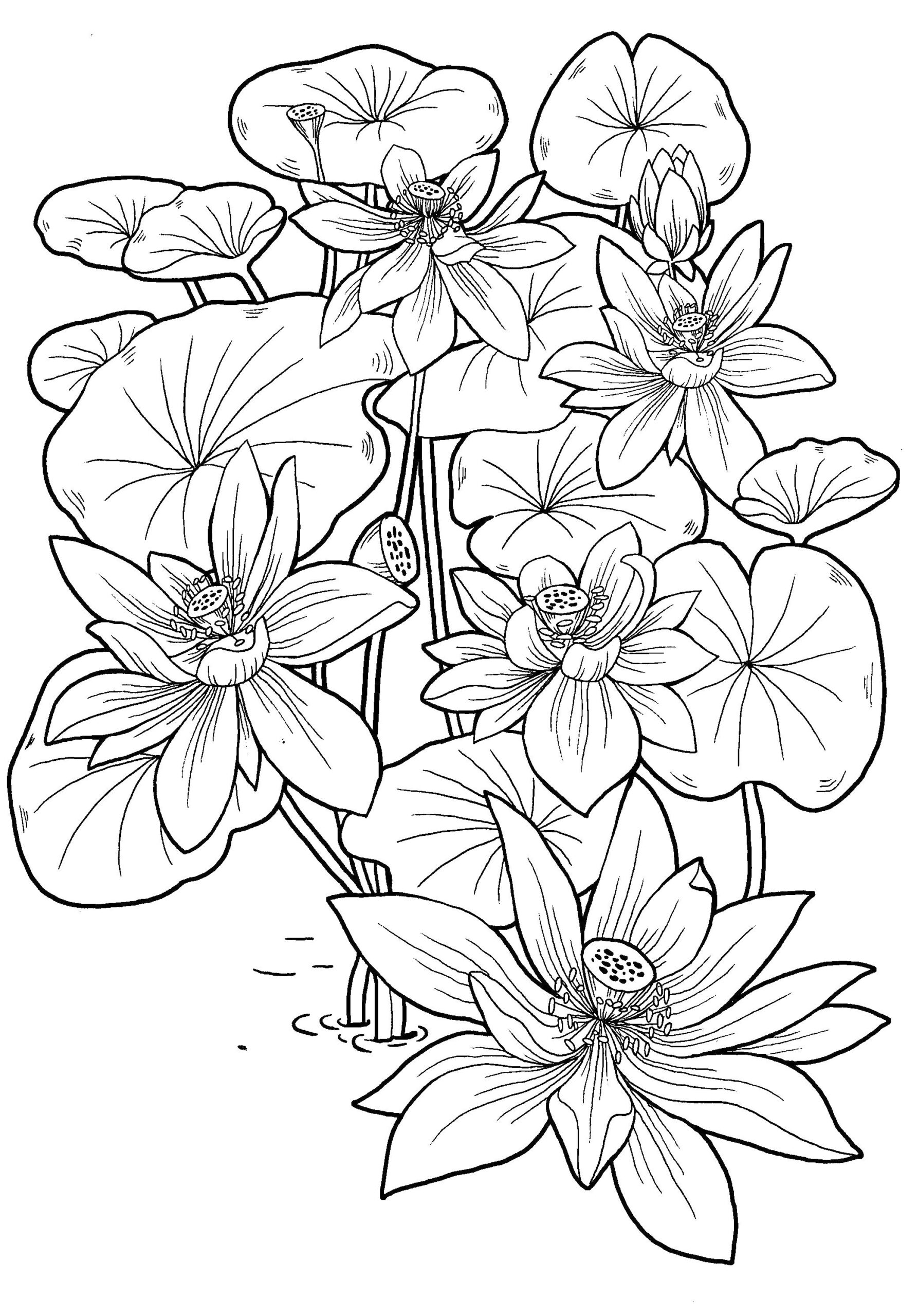 Coloring Pages For Girls 13 Years Old Printable Color Vrogue co