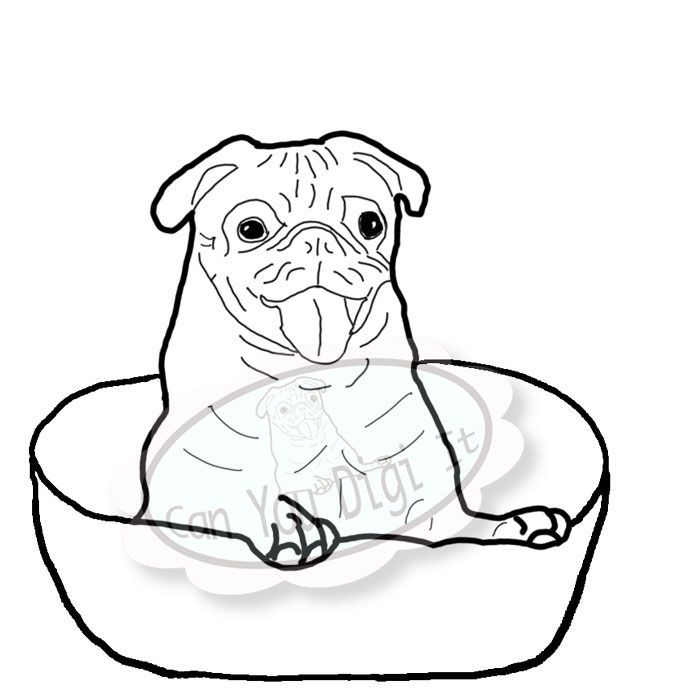 Coloring Pages For Girls Pugs Coloring Home