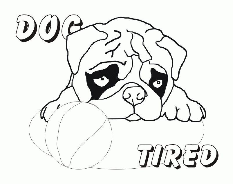 Coloring Pages Pugs