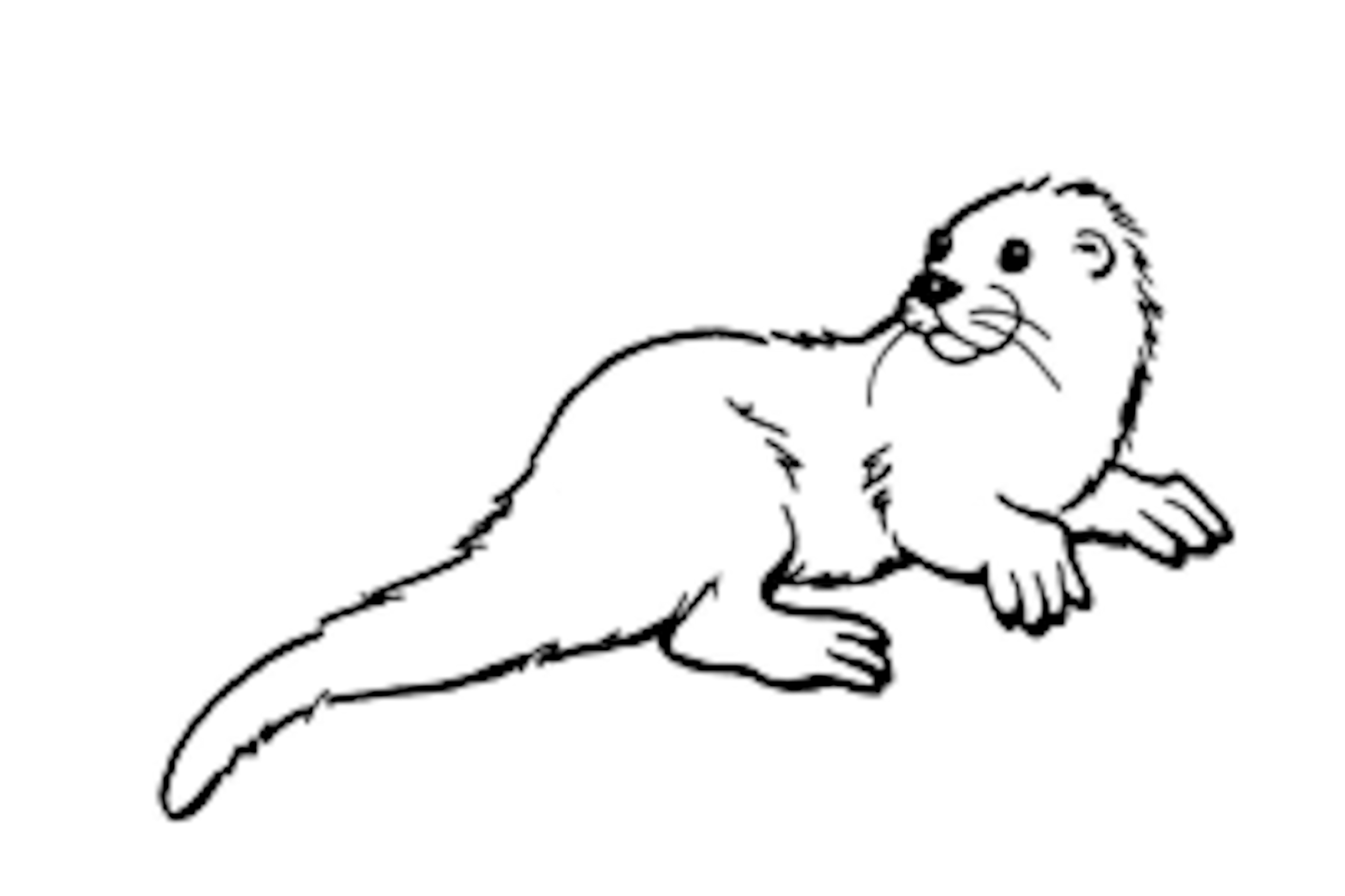 Coloring Pages Of Otters
