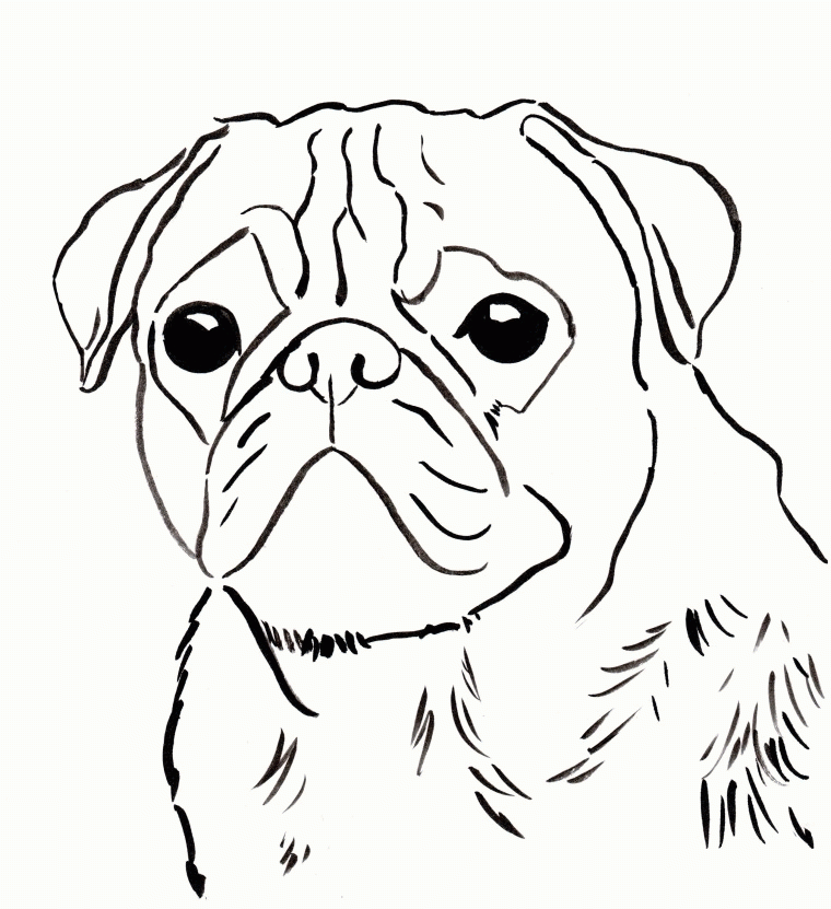 Coloring Pages Pugs Coloring Home