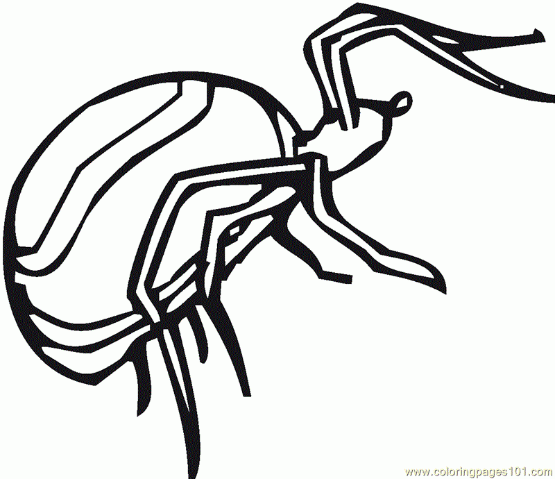 Coloring Pages Spider Animals gt Spider Free Printable Coloring Page 