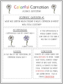 Colour Changing Flowers Science Experiment A Fun Science 