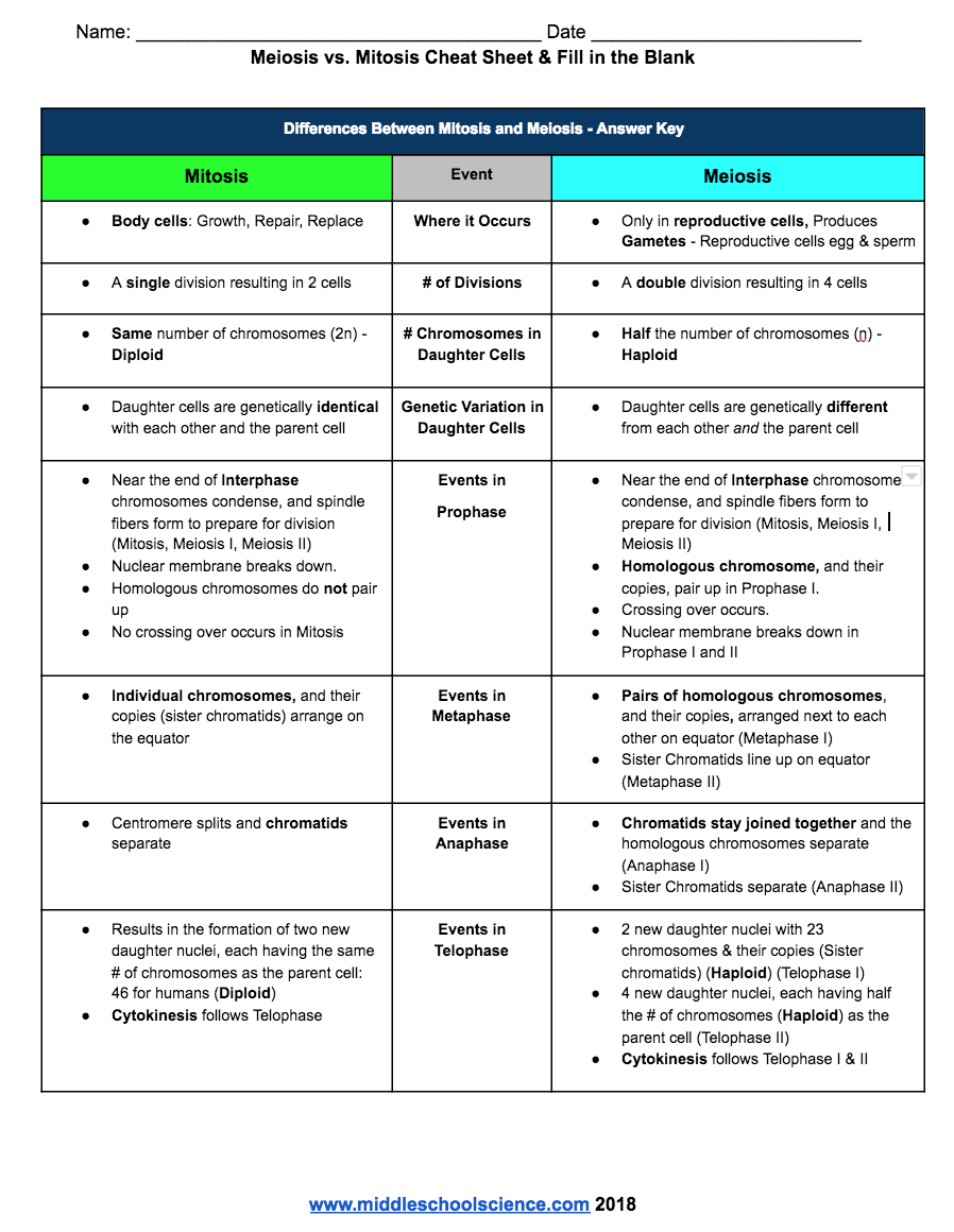 Comparing Mitosis Meiosis Resources Middle School Science Blog 