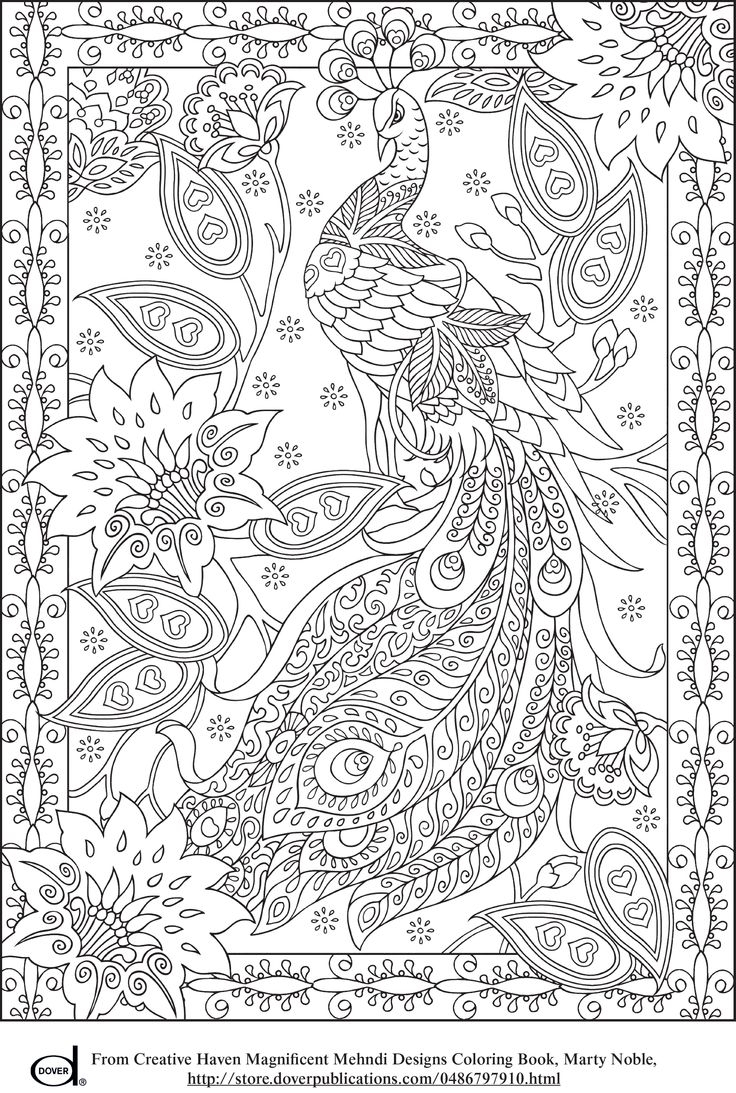 Cool Coloring Pages For Adults Peacock Coloring Home