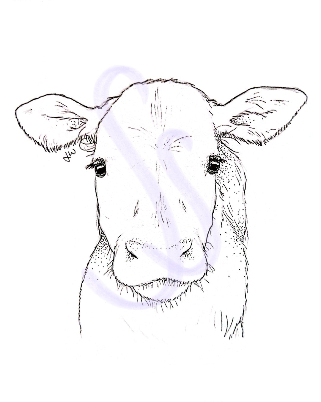 Cow Printable Digital Download Wall Art 4x6 6x9 8x10 10x14 12x18 