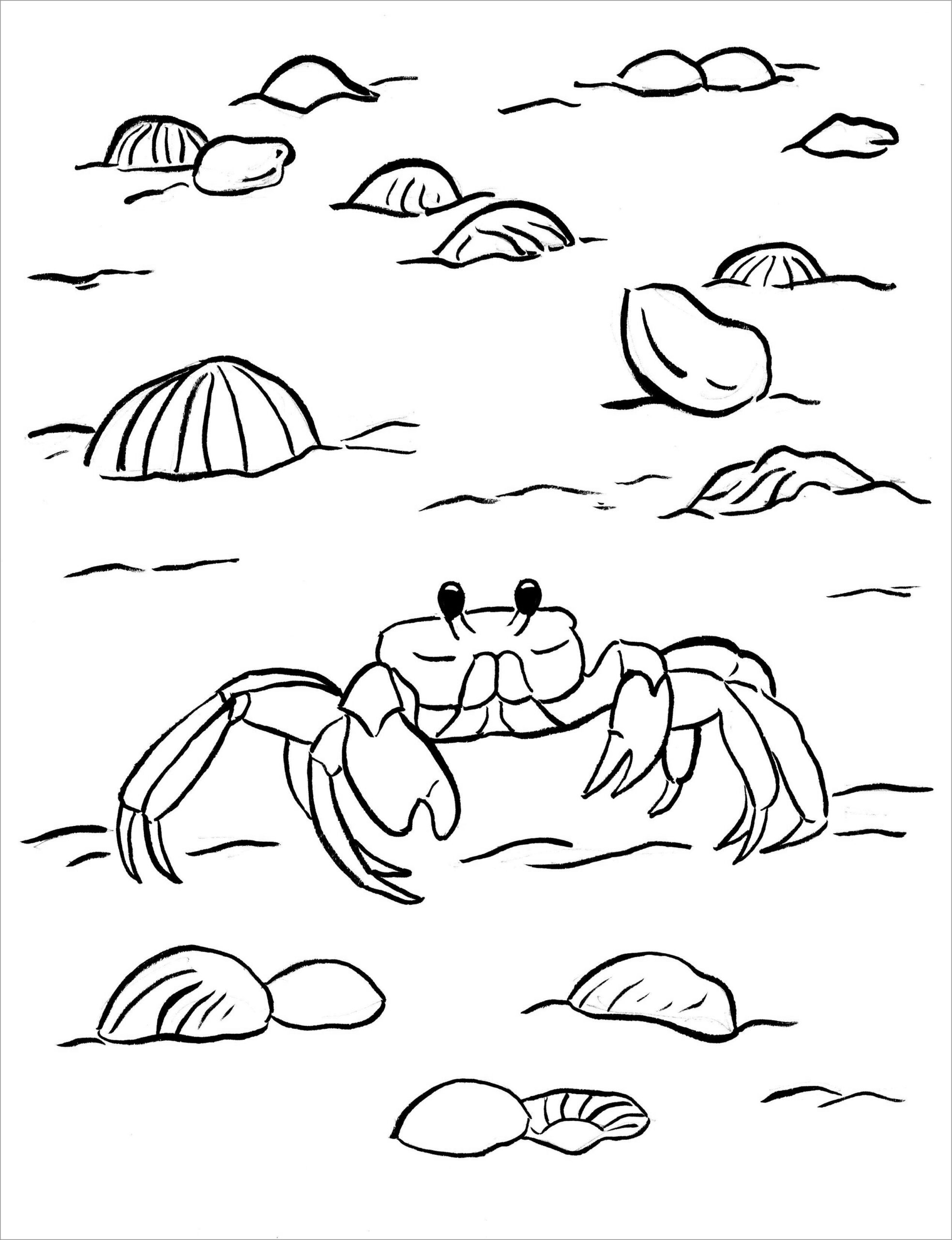 Crab Coloring Pages ColoringBay