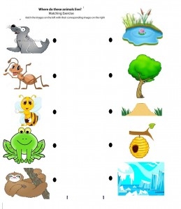 preschool activities for 4-5 year olds