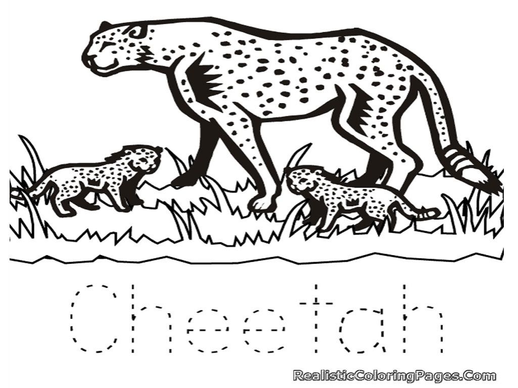 Cute Baby Cheetah Coloring Pages Coloring Home