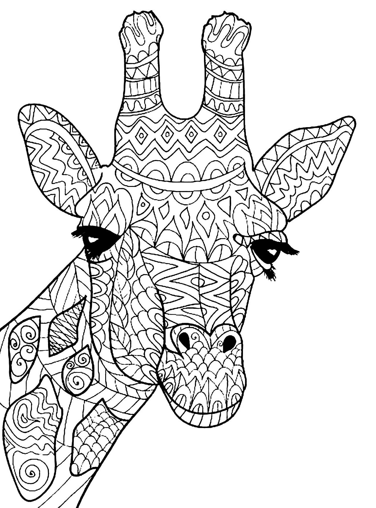 Cute Giraffe Coloring Pages Pdf Printable Free Coloring Sheets Images