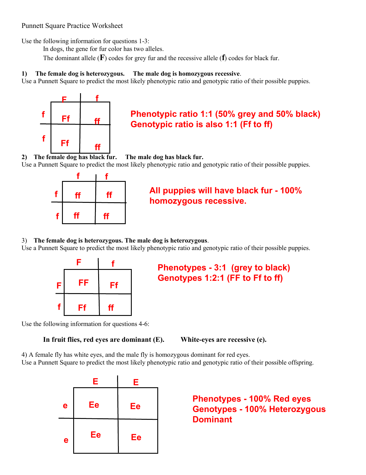 Determining Eye Color Punnett Square Worksheets Infoupdate