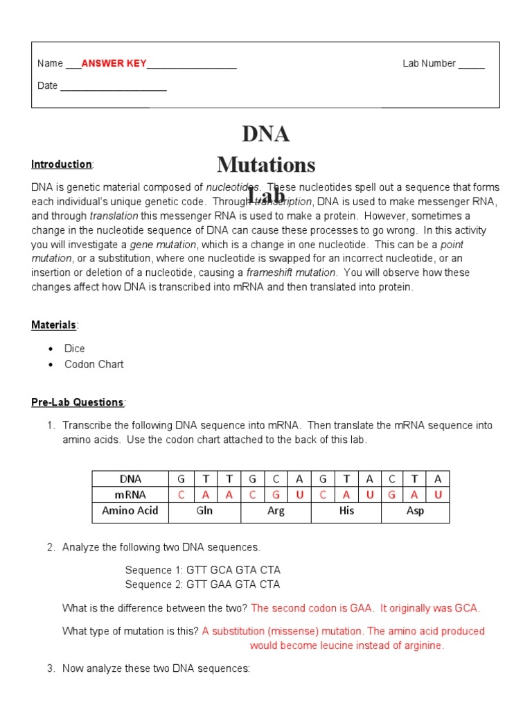 gene mutations worksheet