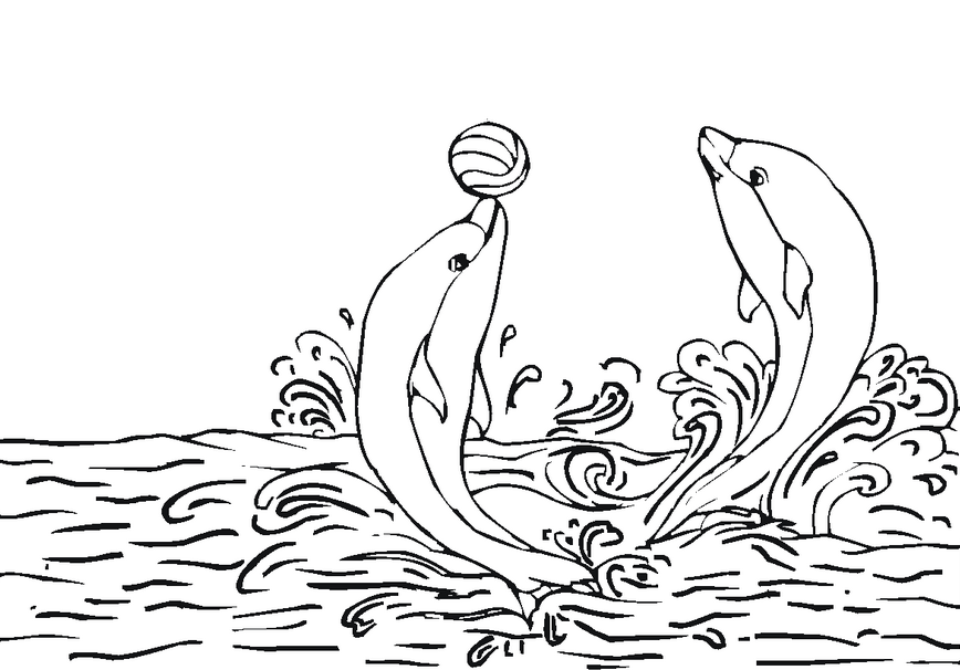 Dolphin coloring page Coloring Page Book