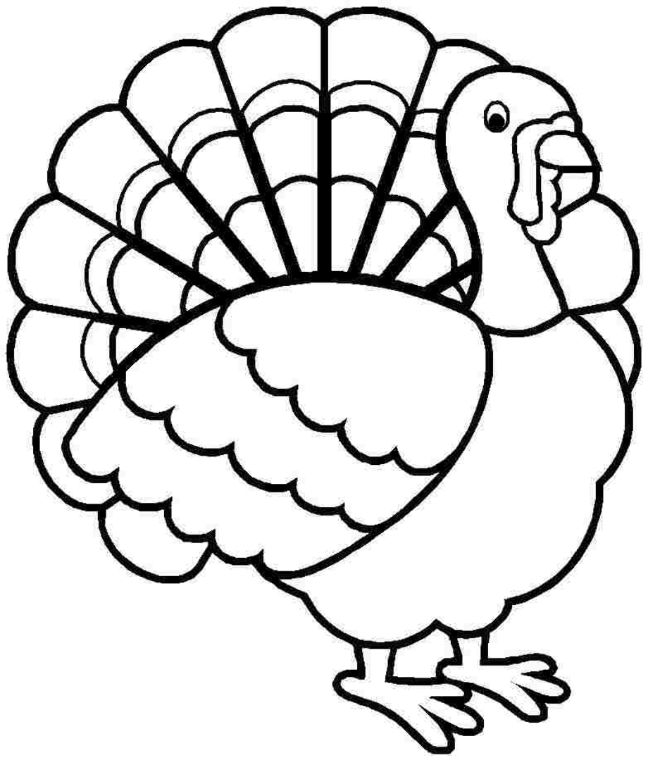 free printable turkey pictures to color