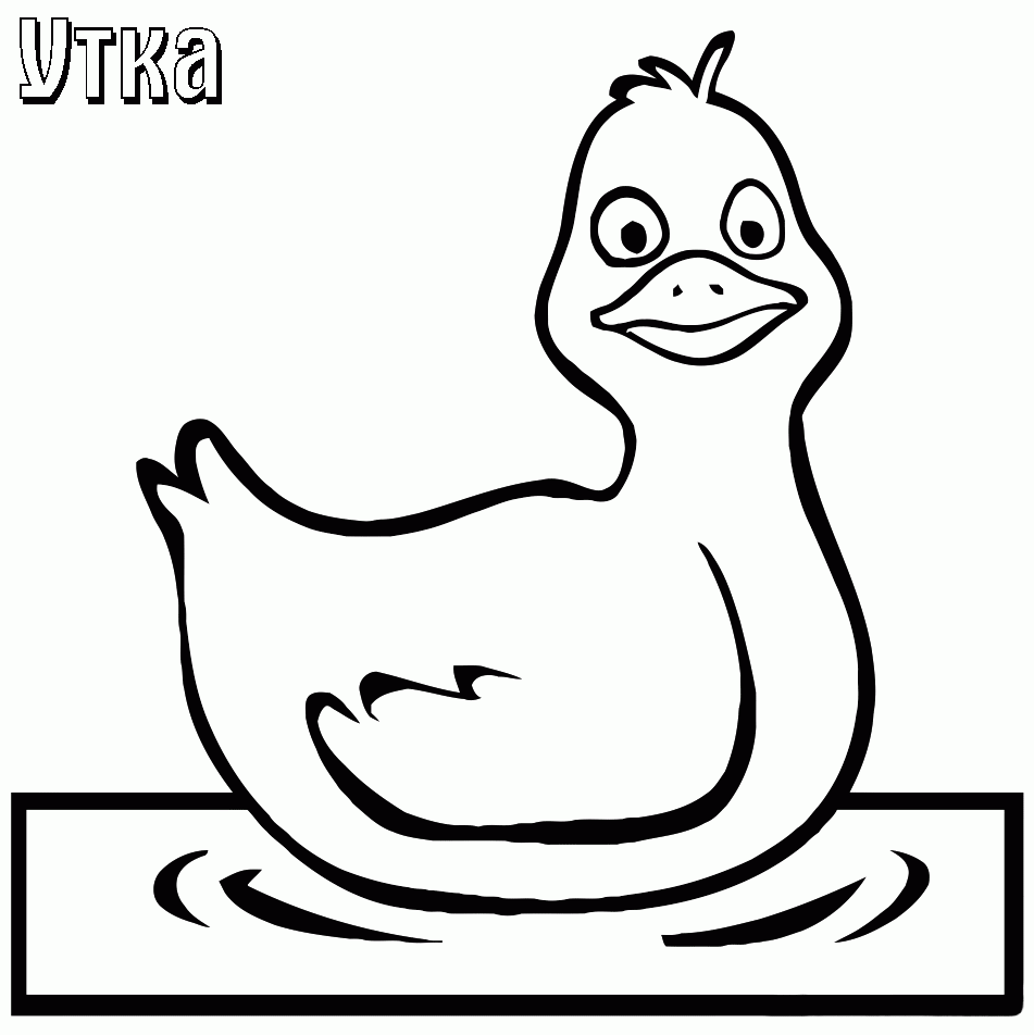 Ducks Coloring Pages To Download And Print For Free