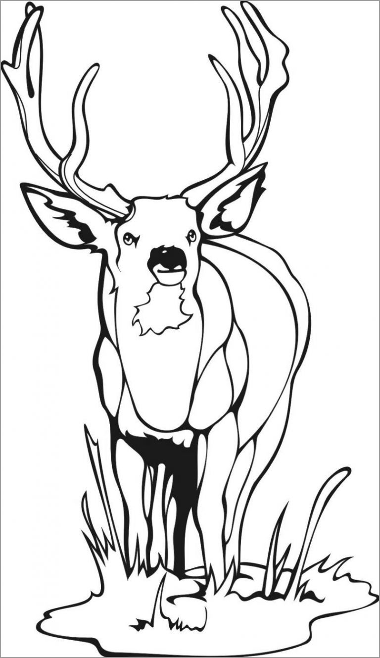 Easy Deer Coloring Page ColoringBay