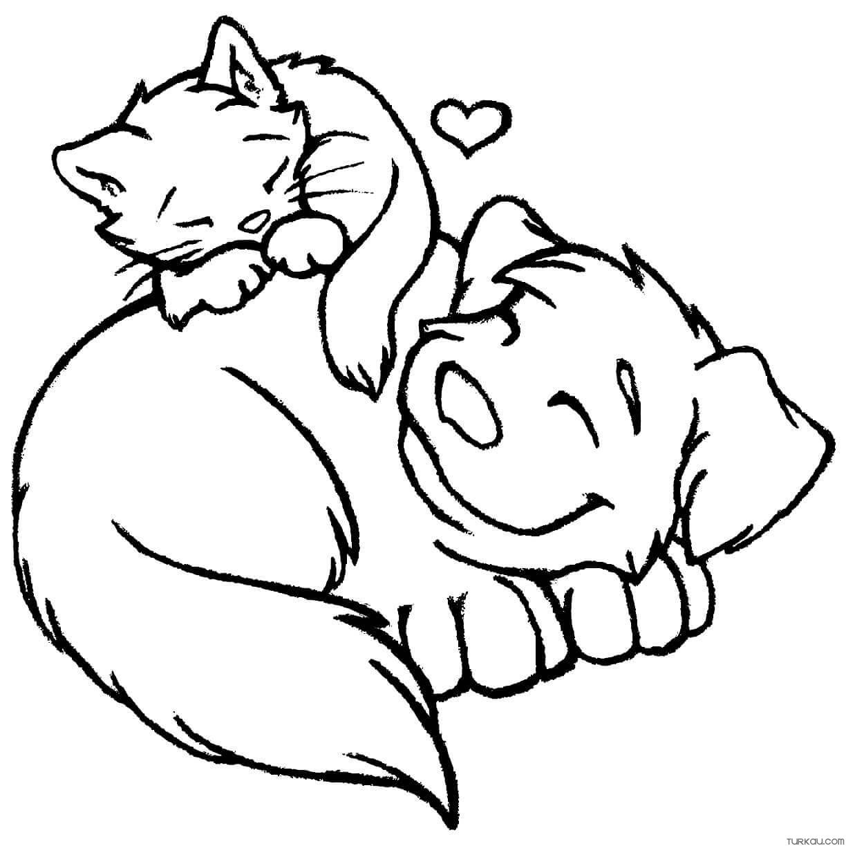 free dog and cat coloring pages