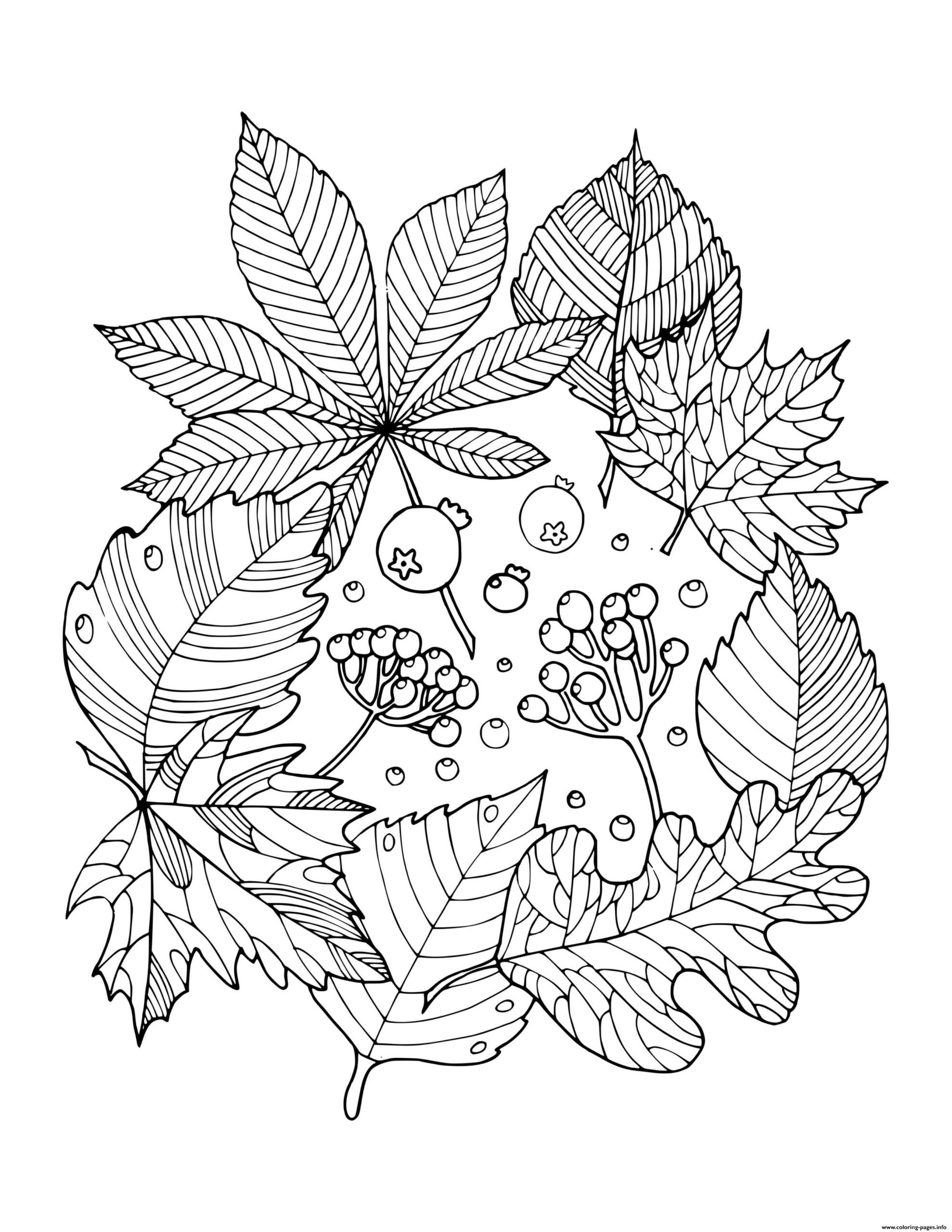 Adult Coloring Pages Fall