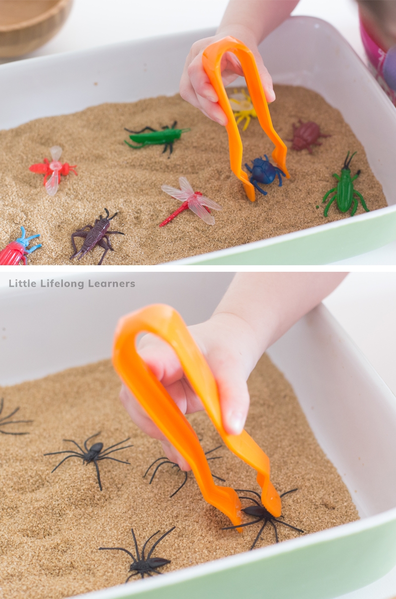 Fine Motor Skills Activities For 8 Year Olds Infoupdate