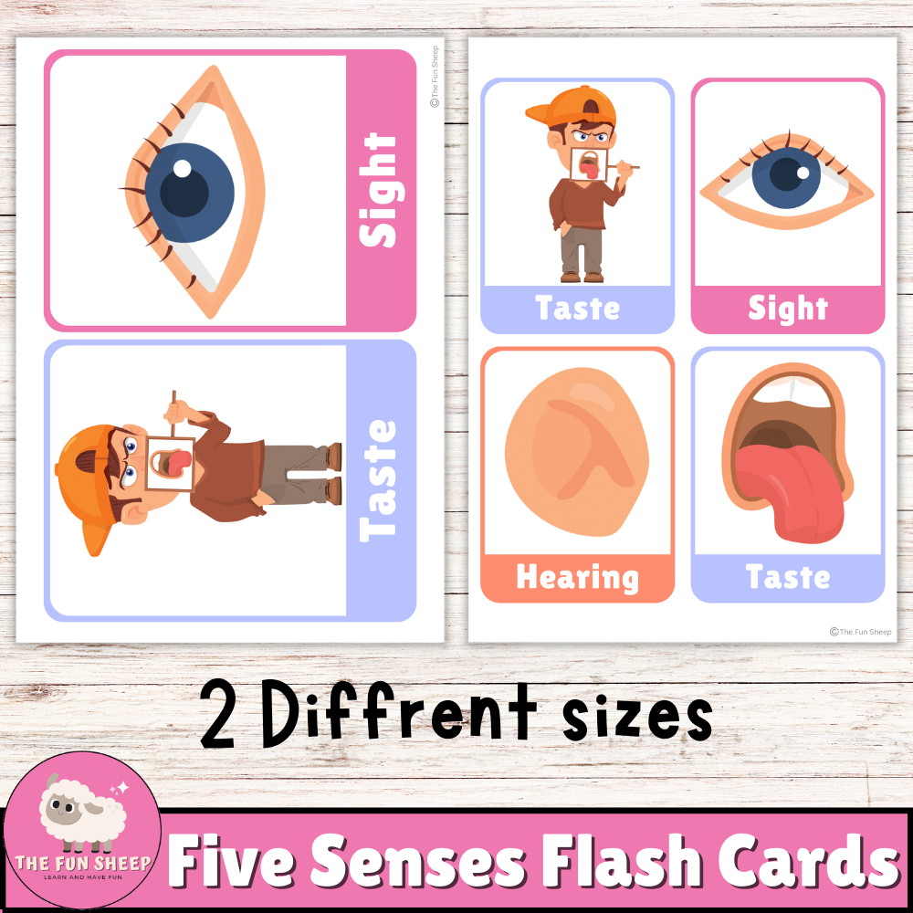 Five Senses Flash Cards Printable 5 Senses Cards Preschool 