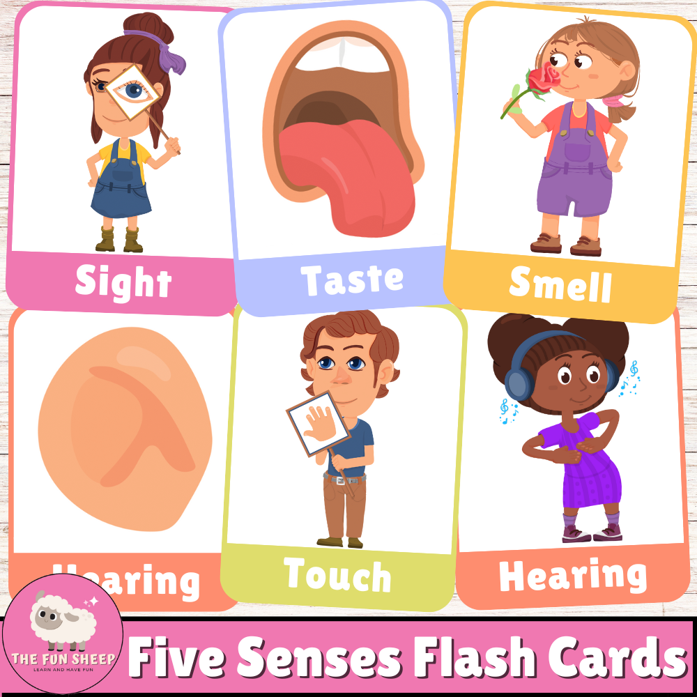 Five Senses Flash Cards Printable 5 Senses Cards Preschool