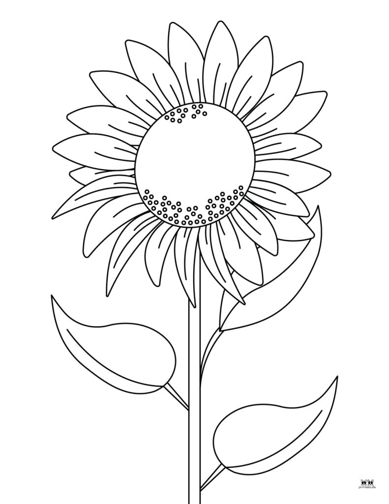 free printable flower coloring page