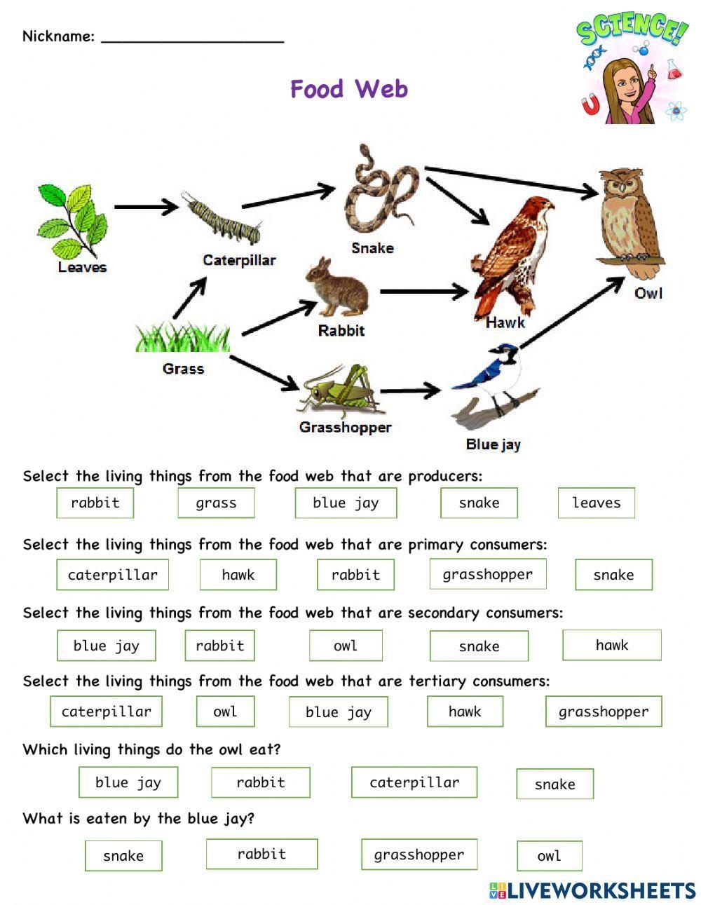 live worksheet answer key