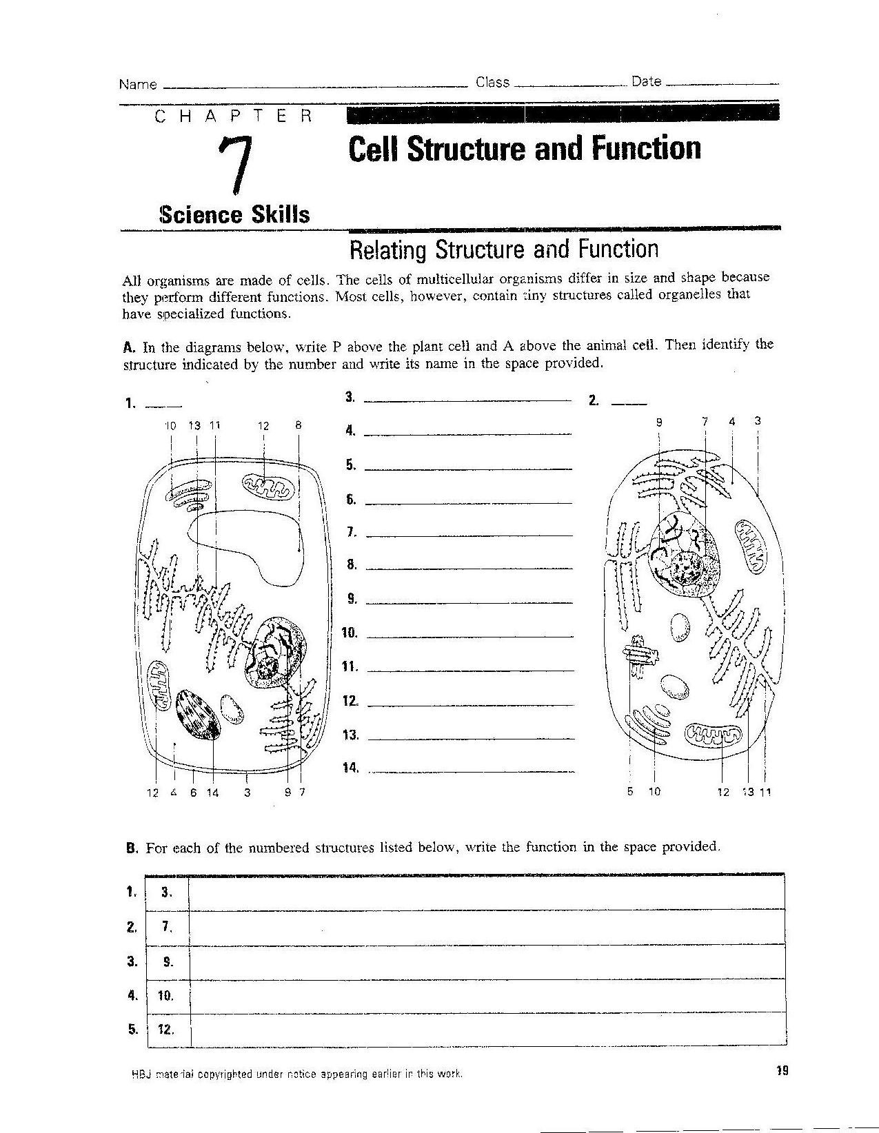Formula To Reference Cell A1 From Alpha Worksheet Printable Word Searches