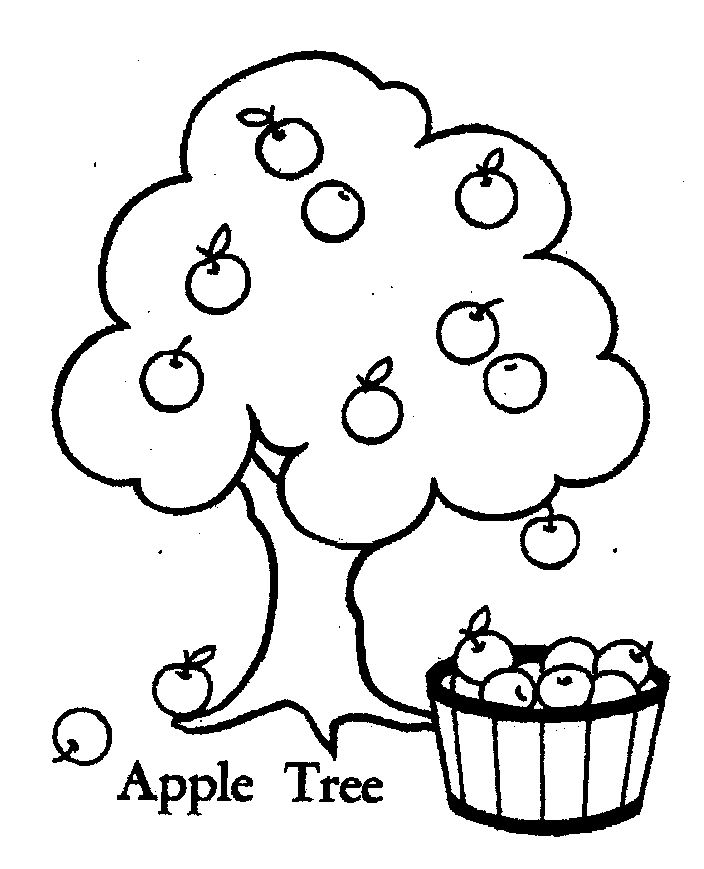 Free Apple Tree Pictures To Color Download Free Apple Tree Pictures To 