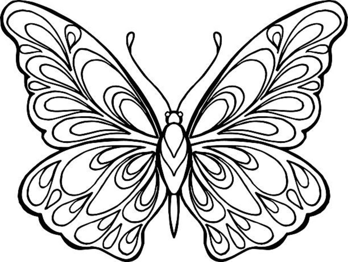 Butterfly Color Pages To Print